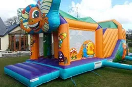 Bugs Obstacle Course Hire Bandon