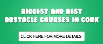 Large Bouncing Castle Bandon Obstacle Course Hire